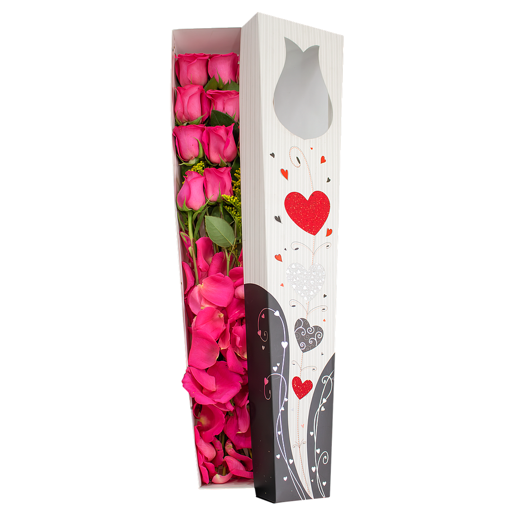 ROSES BOX X12