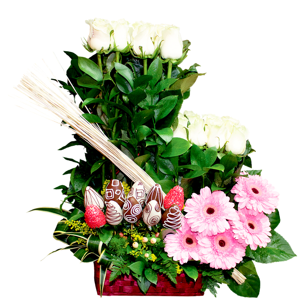 DELICIAS ECUATORIANAS