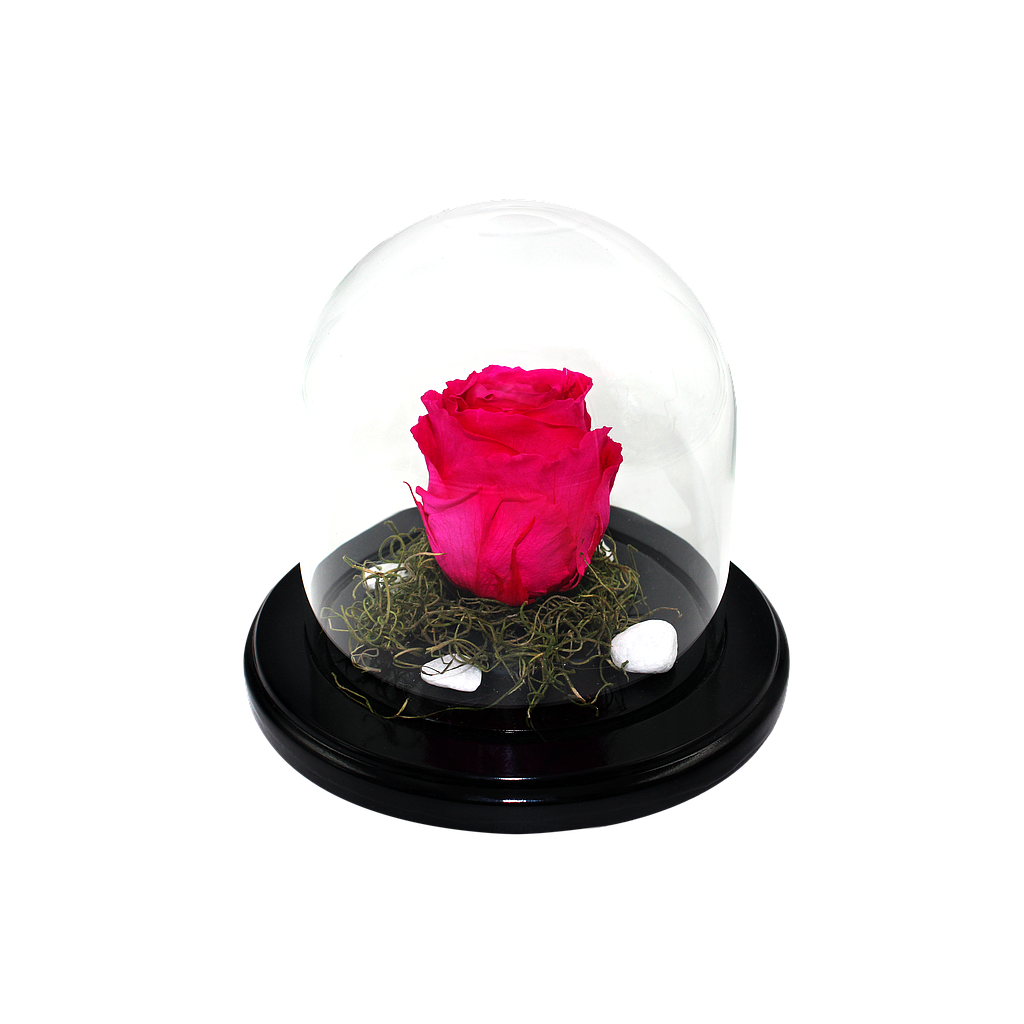 TODA UNA VIDA ROSA