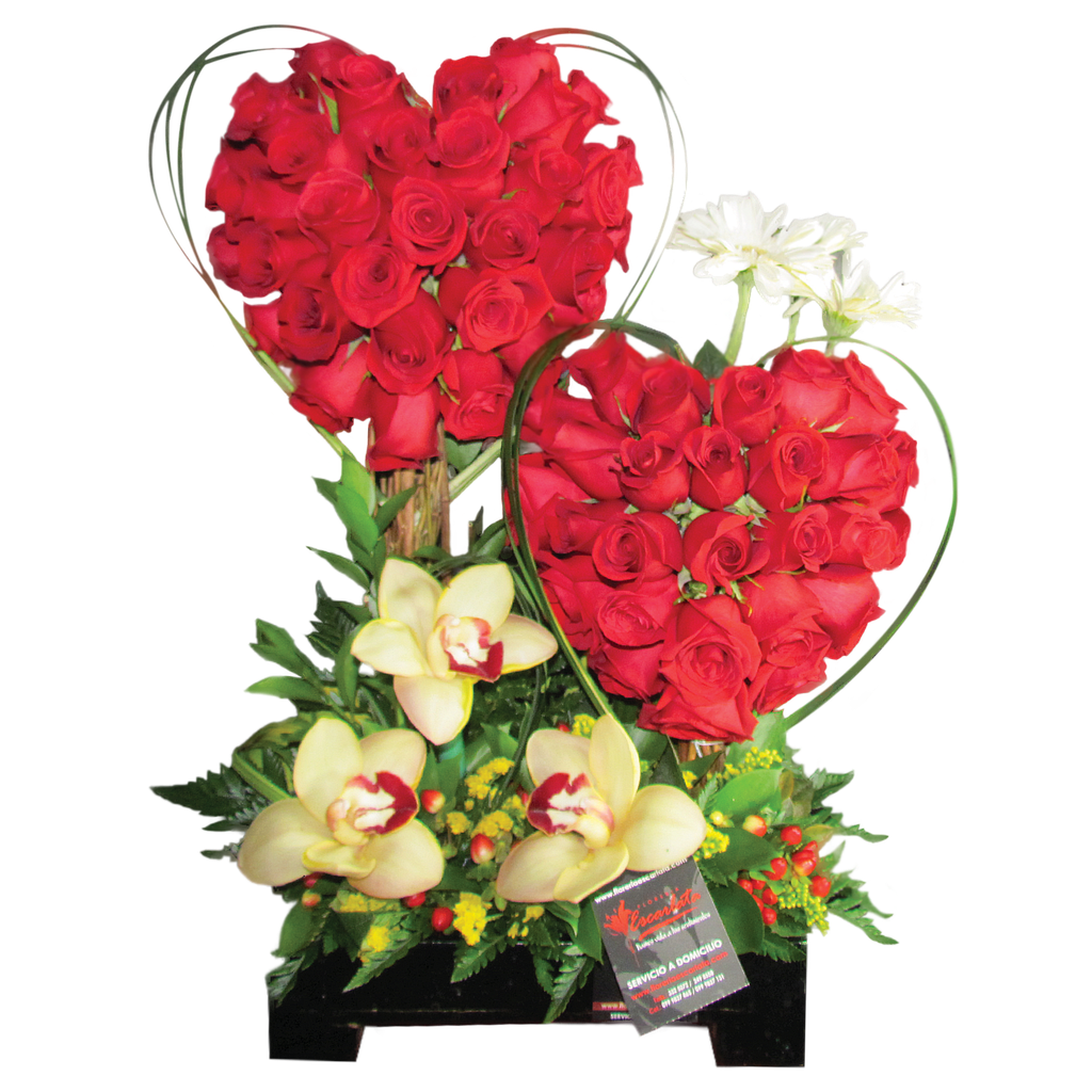CORAZONES ENTRELAZADOS