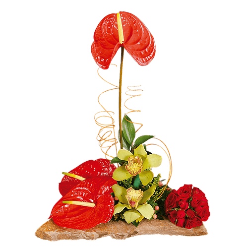 IKEBANA