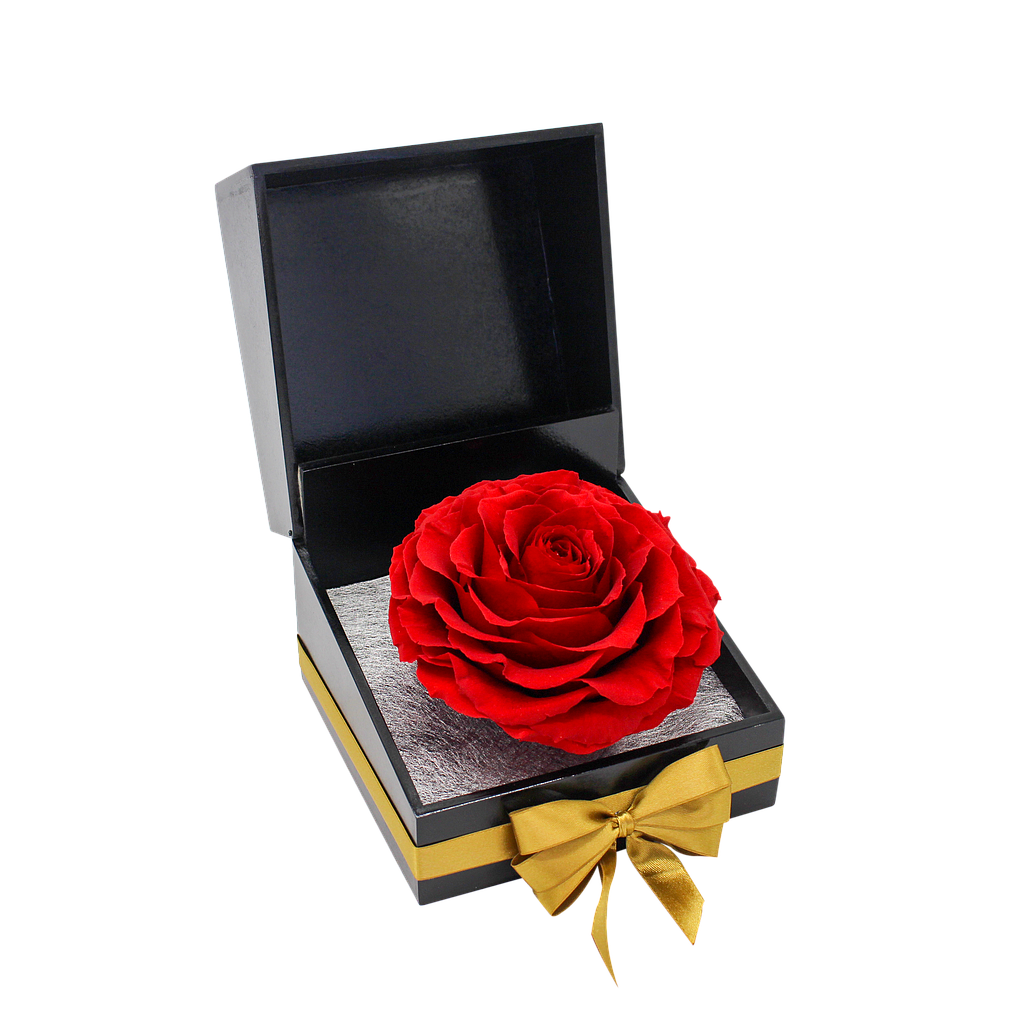 ETERNAMENTE BELLA ROSA