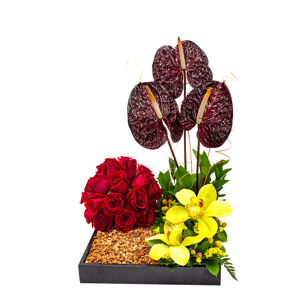 LLLUVIA DE CORAZONES