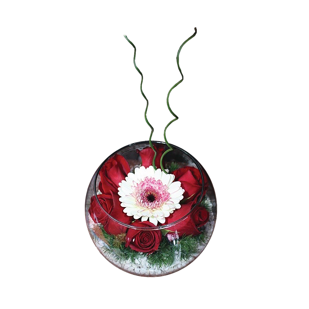 TRANSPARENCIA