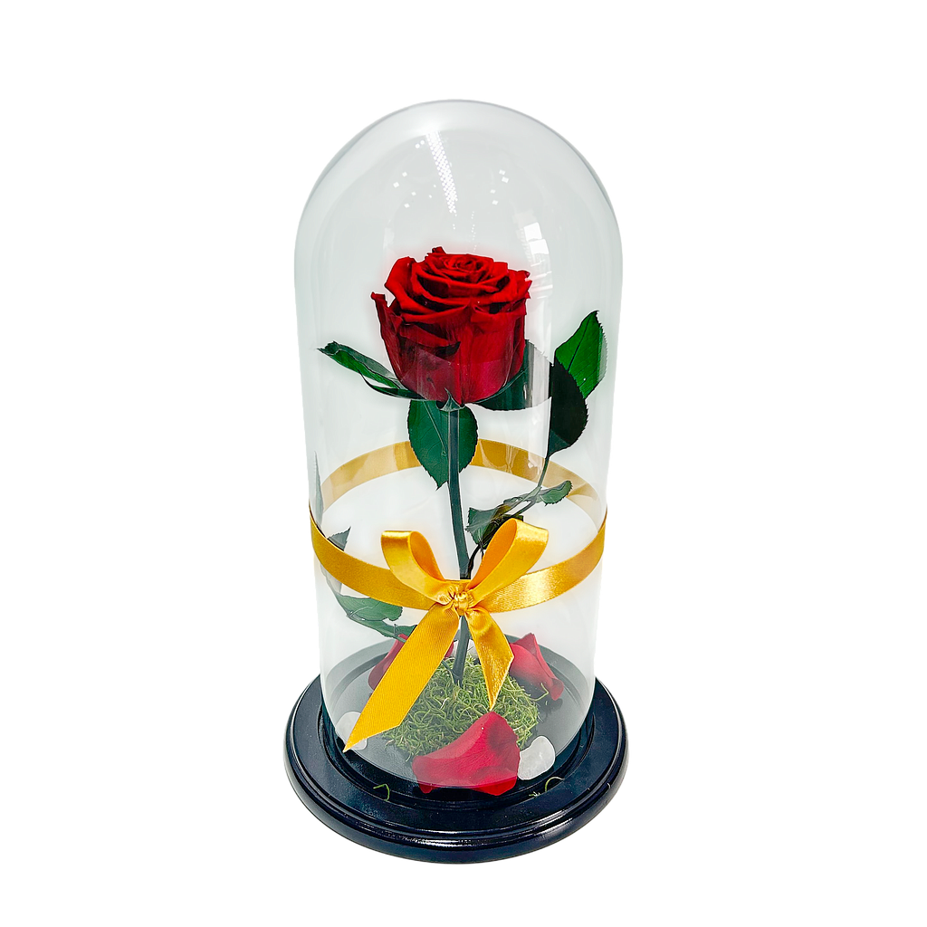 LA BELLA Y LA BESTIA