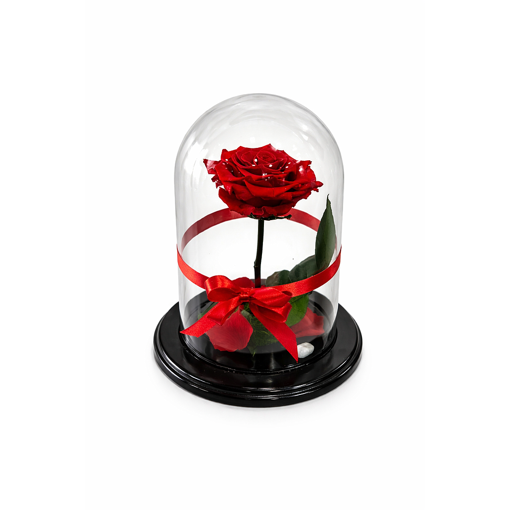 LA BELLA Y LA BESTIA