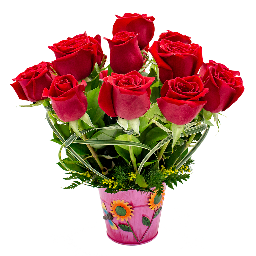 CAPULLO DE ROSAS
