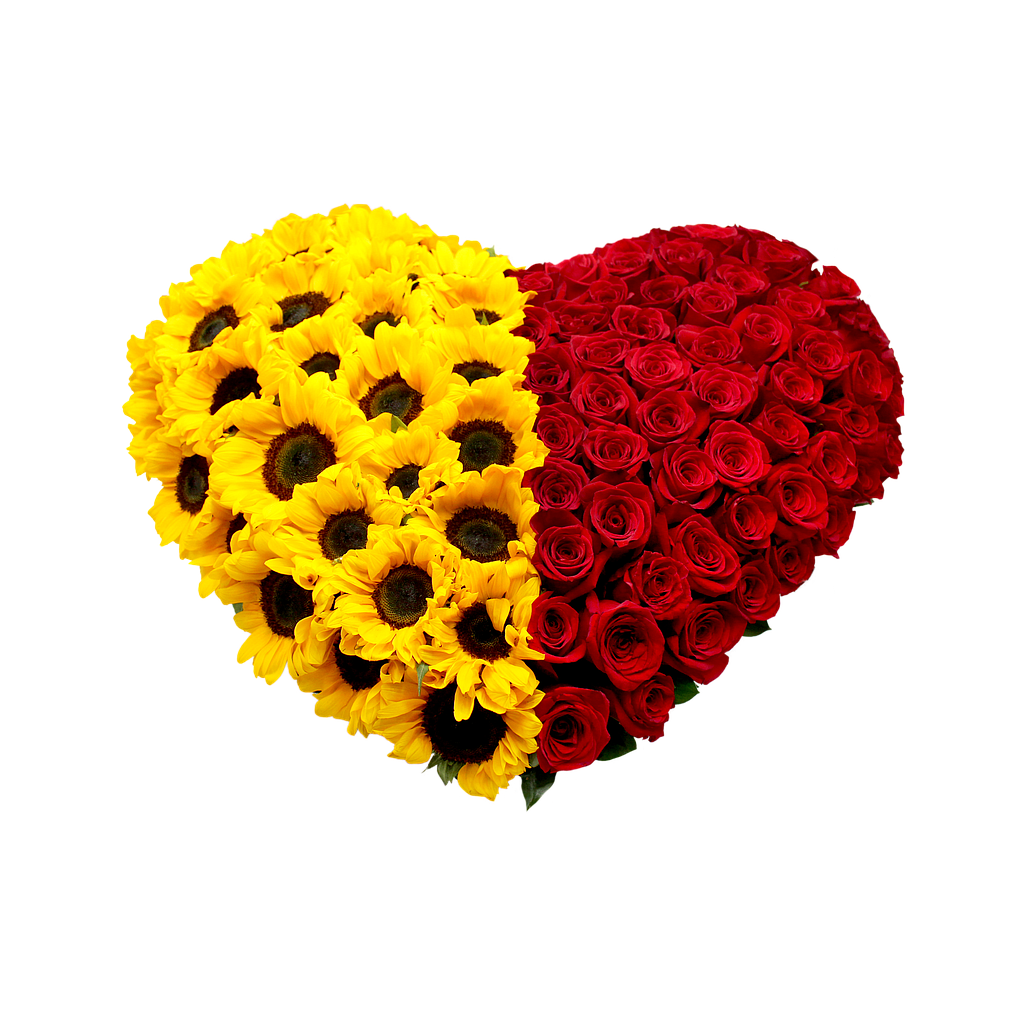 ABRAZANDO TU CORAZÓN