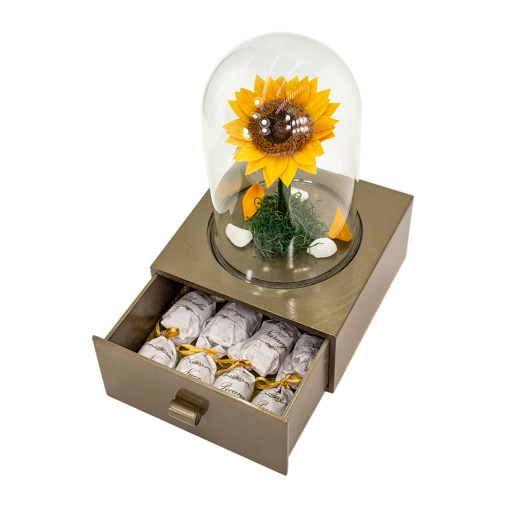 DULCEMENTE ETERNA GIRASOL