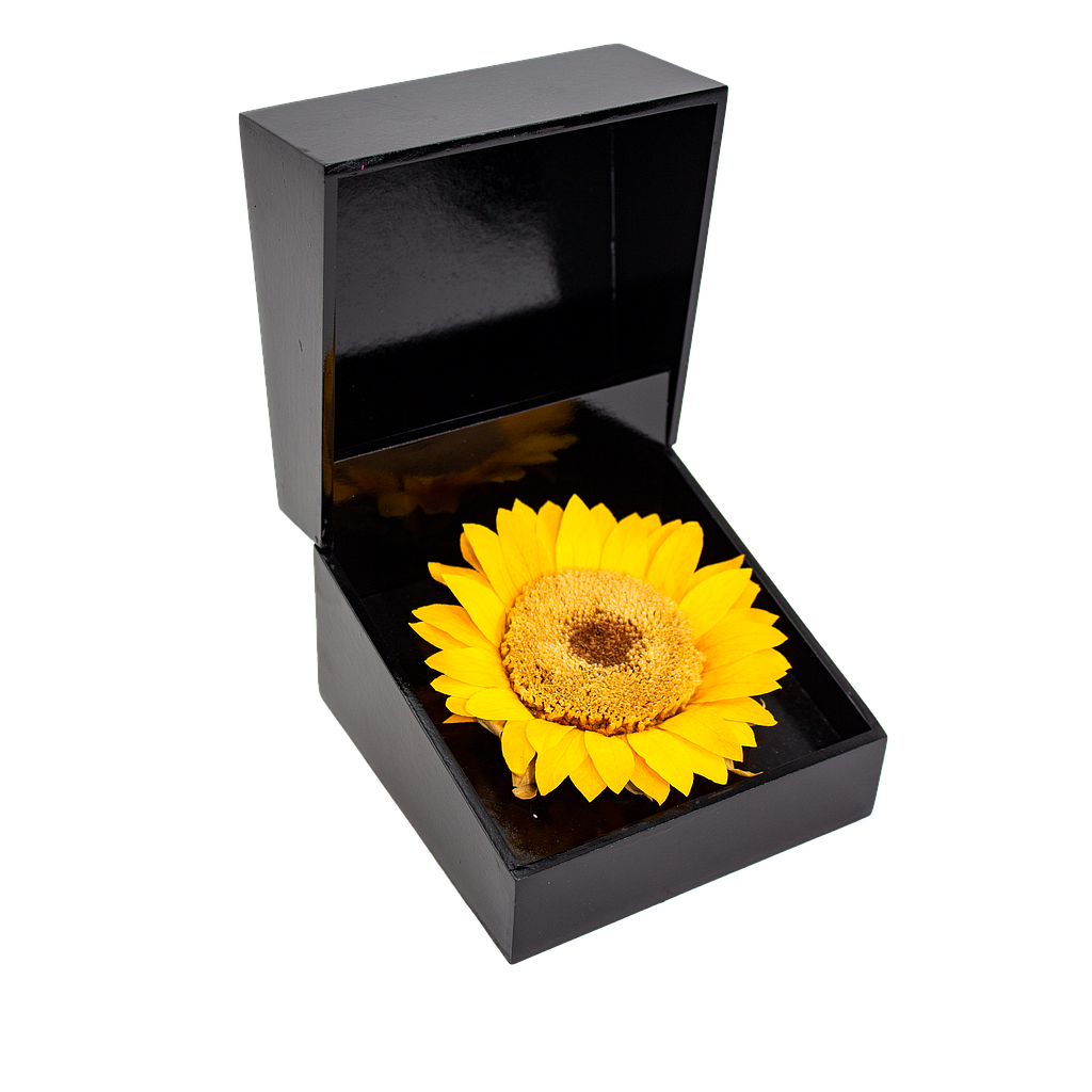 ETERNAMENTE BELLA GIRASOL