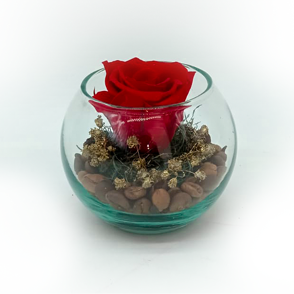 PARA SIEMPRE PEQUEÑO