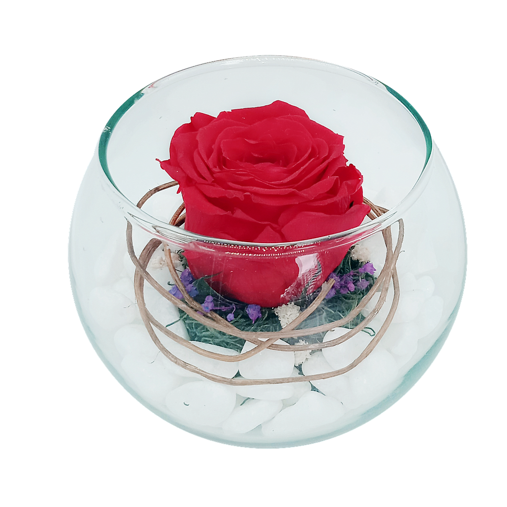 PARA SIEMPRE MEDIANA