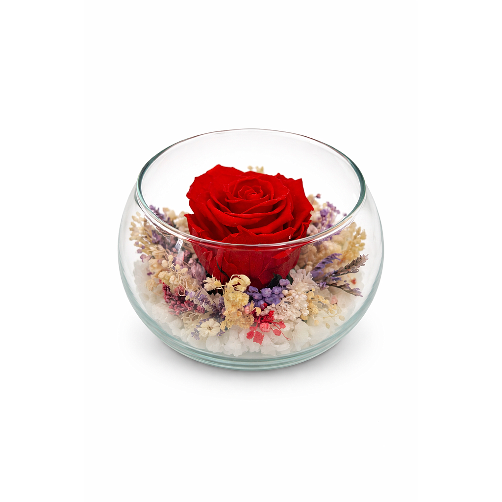 PARA SIEMPRE MEDIANA