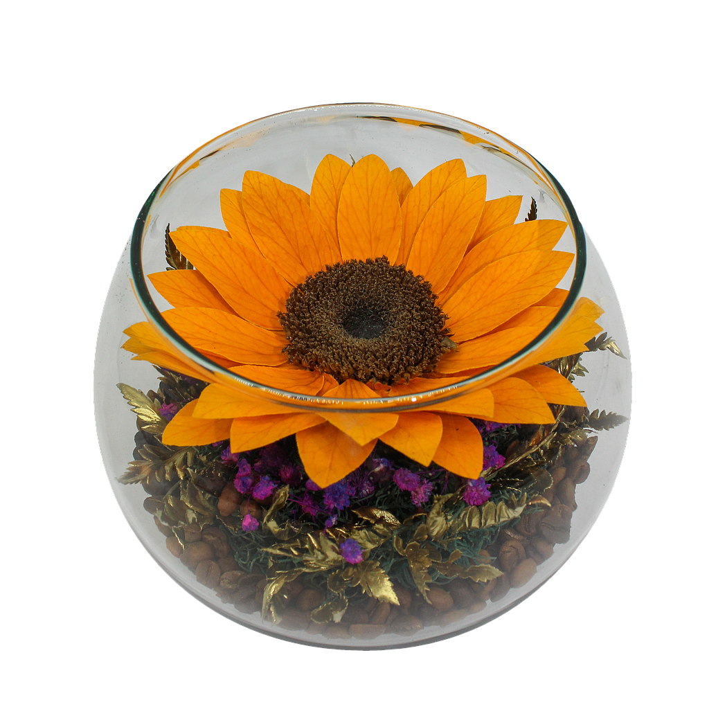 PARA SIEMPRE GIRASOL