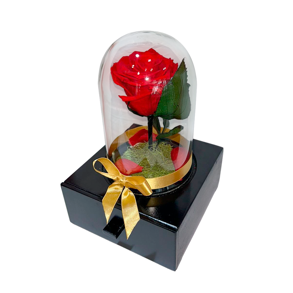 DULCEMENTE ETERNA ROSA