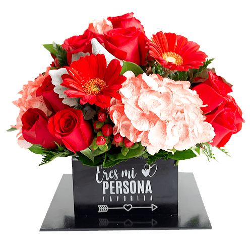 MI PERSONA FAVORITA