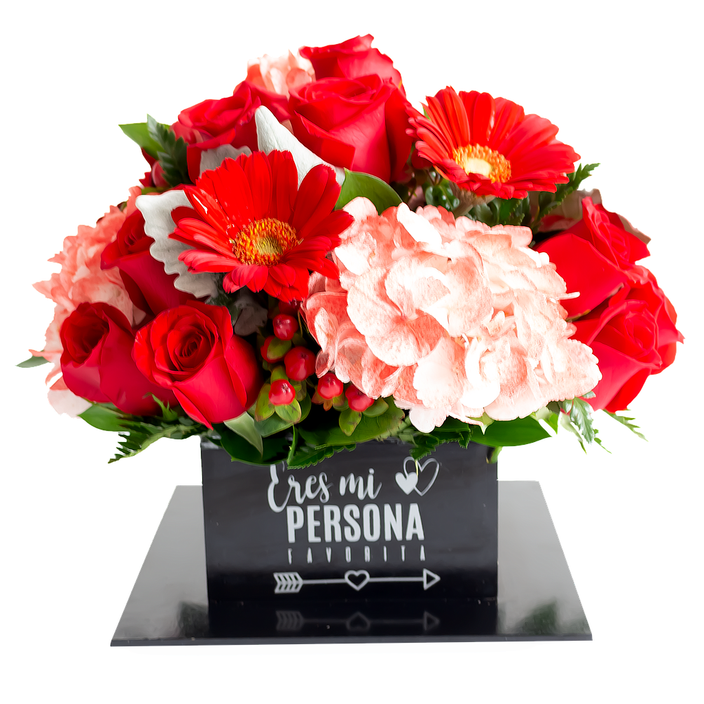 MI PERSONA FAVORITA