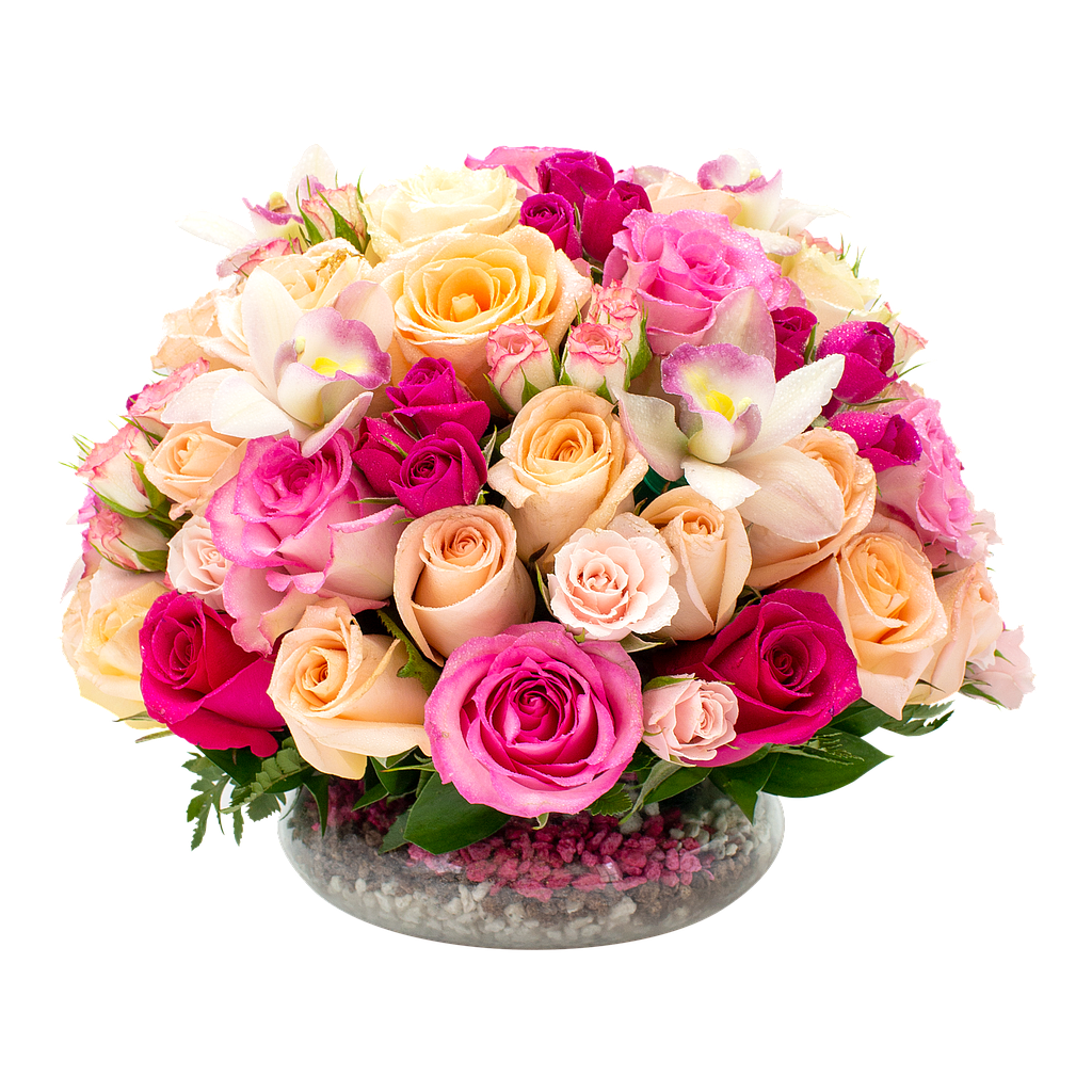 JARDÍN DE ORQUIDEAS 