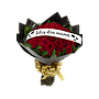 AMOR INFINITO